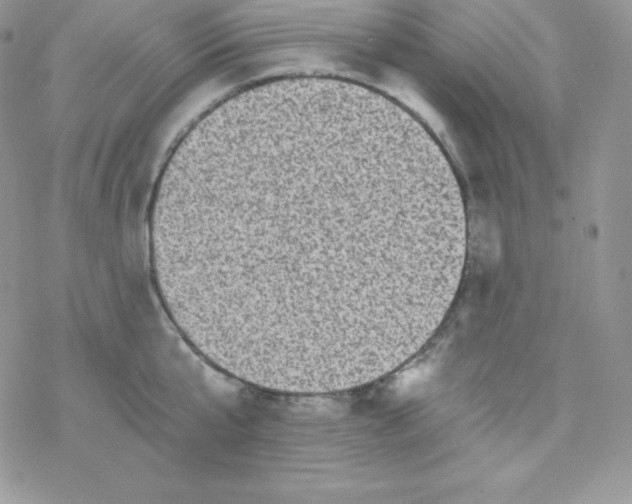 X0000078300807200611251507