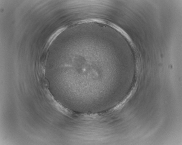 X0000078300809200611251507