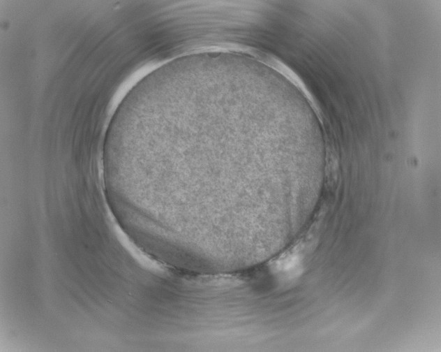 X0000078300811200611251507