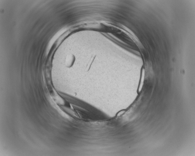 X0000078300812200611251507