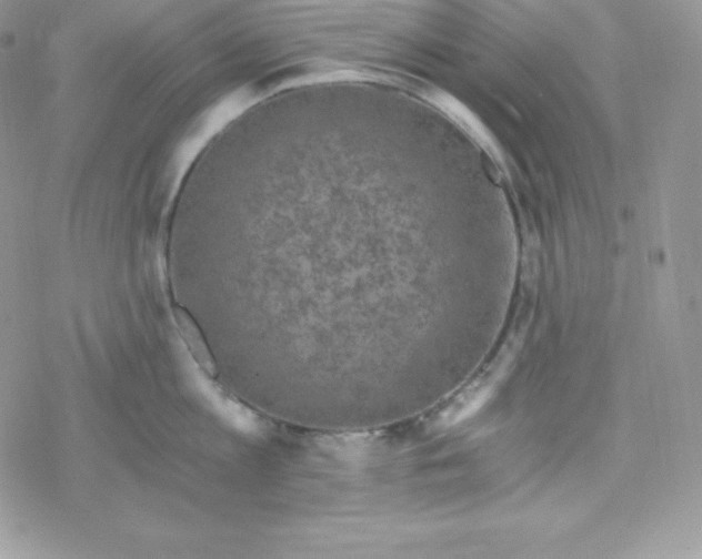 X0000078300813200611251507