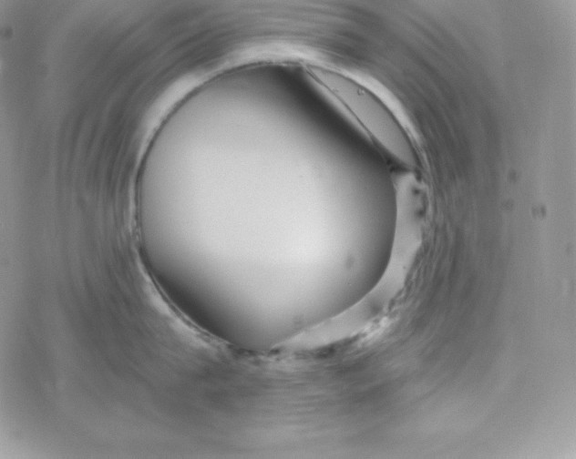 X0000078300815200611251507