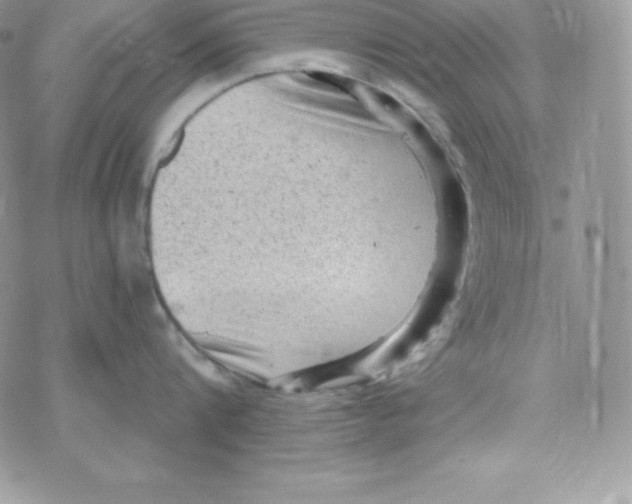 X0000078300816200611251507