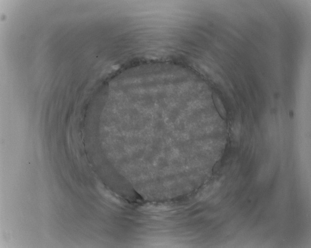 X0000078300817200611251506