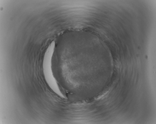 X0000078300818200611251506