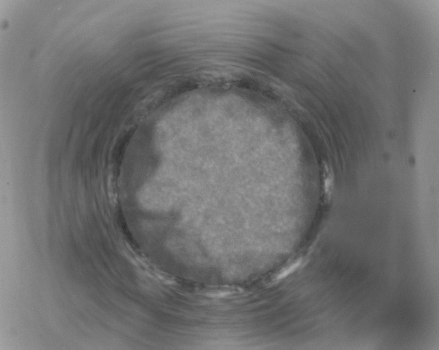 X0000078300819200611251506