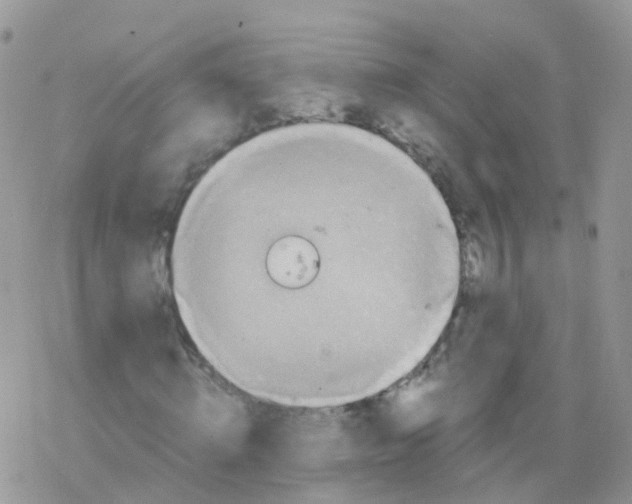 X0000078300820200611251506