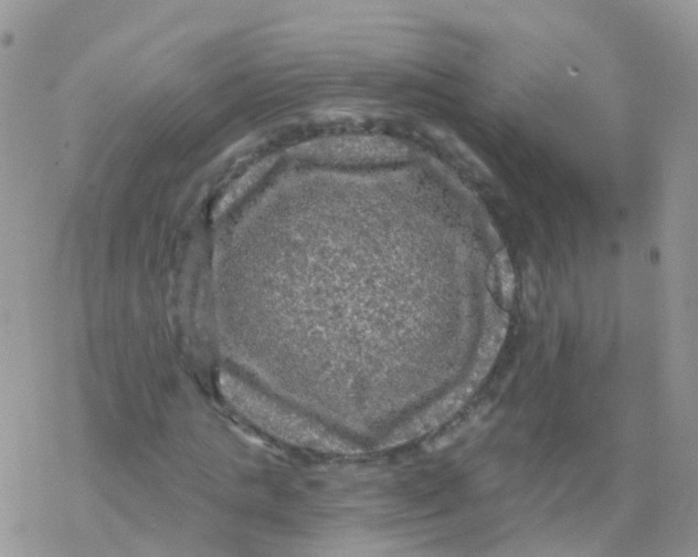 X0000078300821200611251506