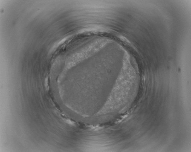 X0000078300822200611251506