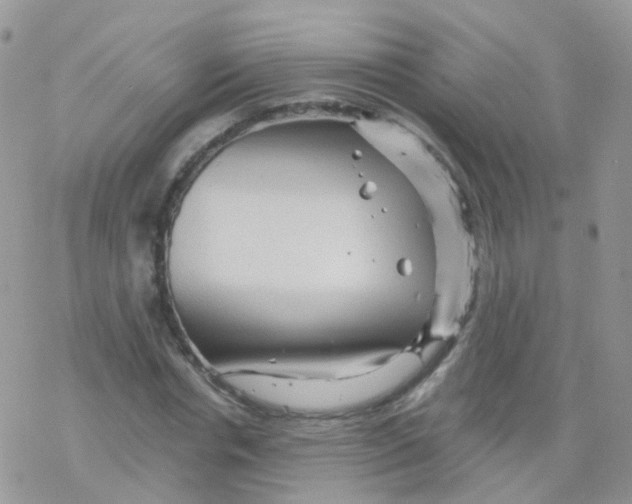 X0000078300826200611251506