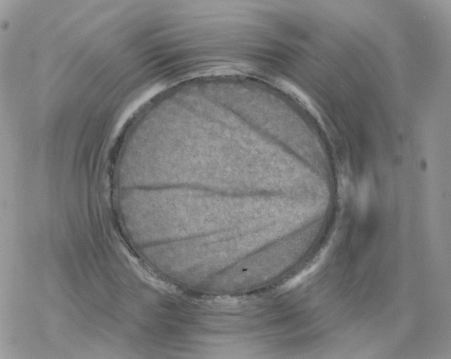 X0000078300827200611251506