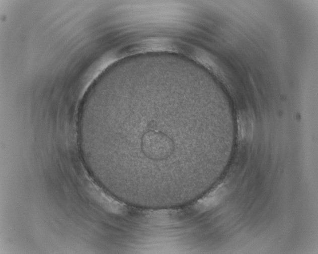 X0000078300828200611251506