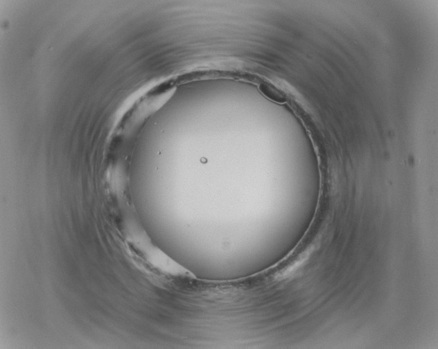 X0000078300830200611251506