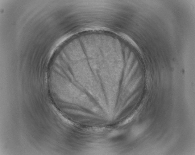 X0000078300831200611251506