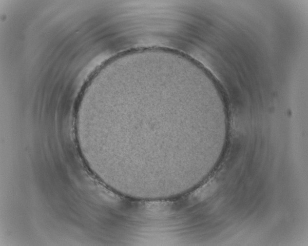 X0000078300832200611251506