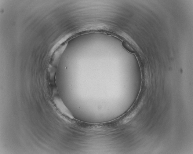 X0000078300834200611251506