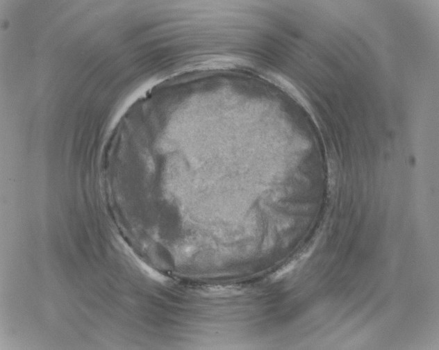 X0000078300835200611251506