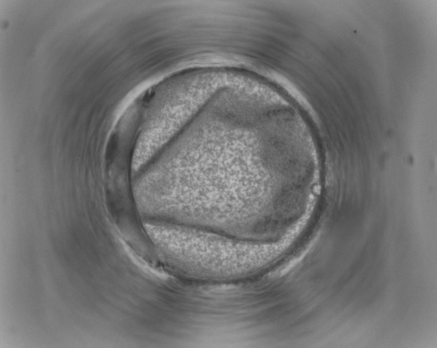 X0000078300837200611251506