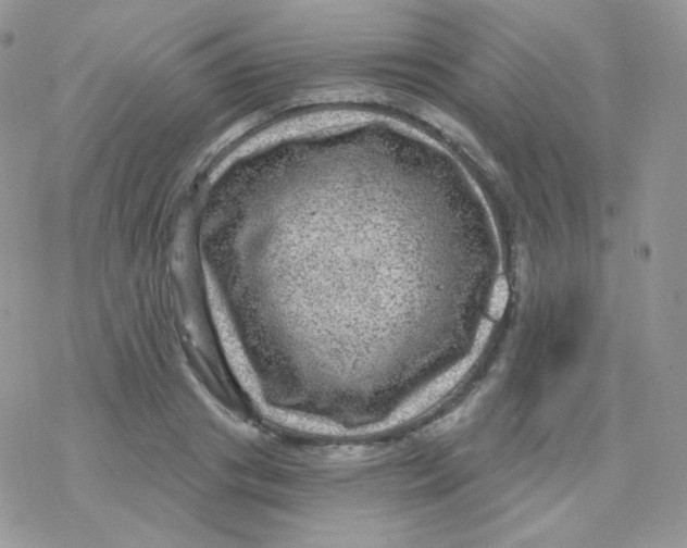 X0000078300841200611251506