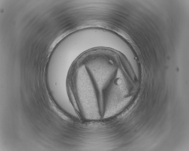 X0000078300842200611251506