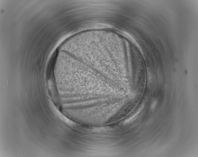 X0000078300843200611251506