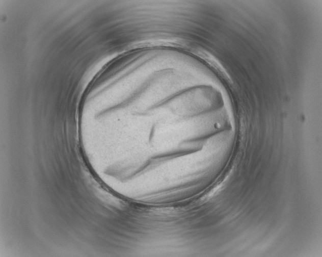 X0000078300844200611251506