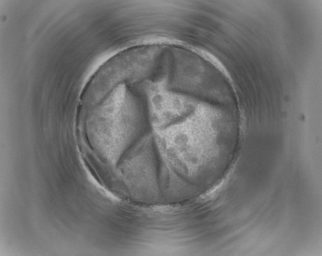 X0000078300847200611251506