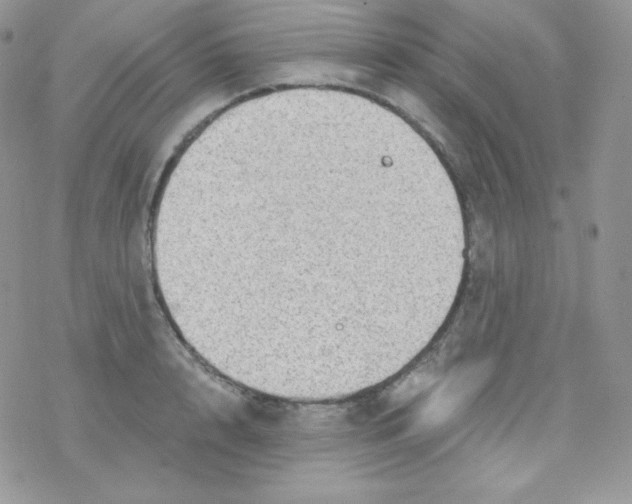 X0000078300848200611251506