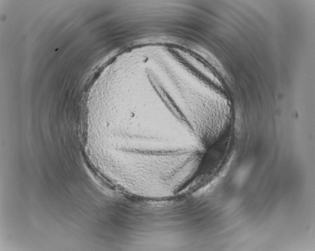 X0000078300849200611251506