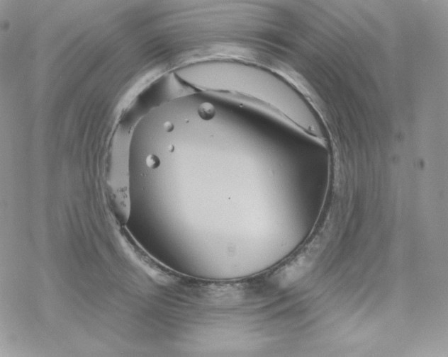 X0000078300850200611251507