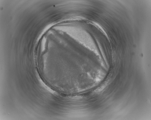 X0000078300851200611251507