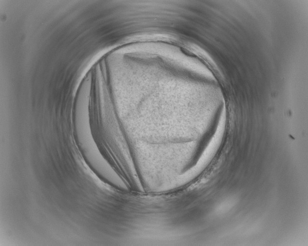 X0000078300852200611251507