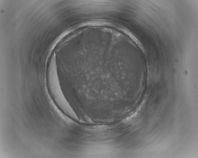 X0000078300853200611251507