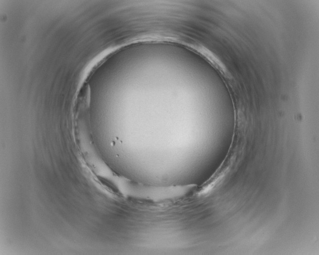 X0000078300854200611251507