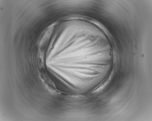 X0000078300857200611251507