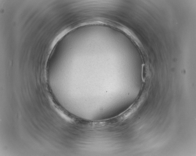 X0000078300858200611251507