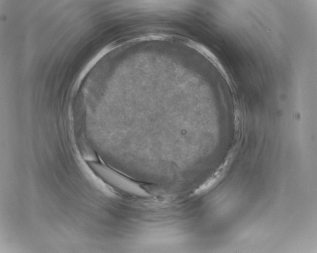 X0000078300859200611251507