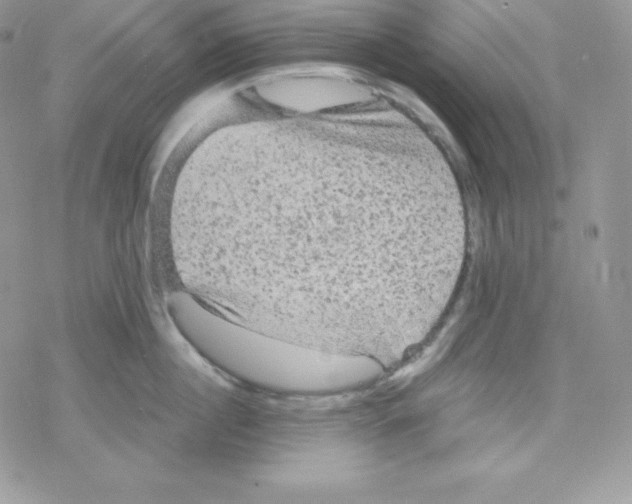 X0000078300860200611251507