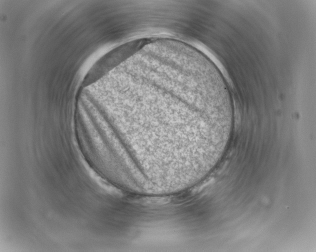 X0000078300861200611251507