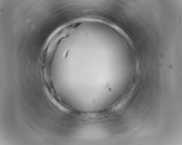 X0000078300862200611251507