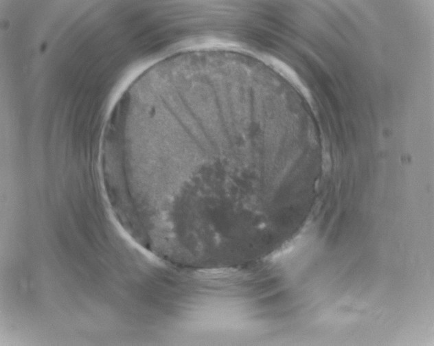 X0000078300863200611251507