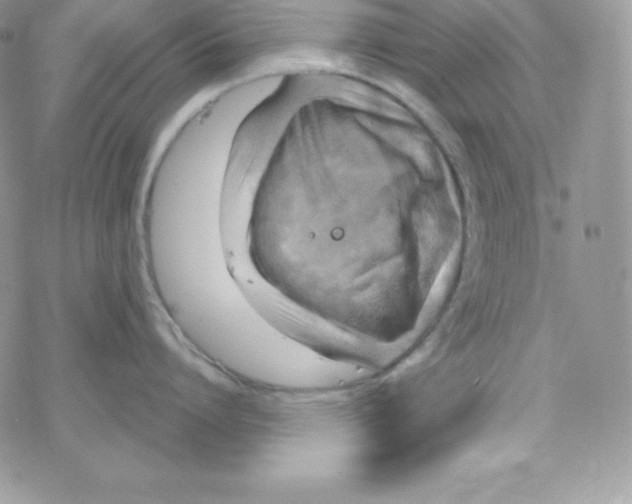 X0000078300864200611251507