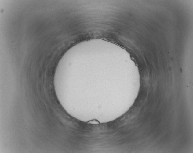 X0000078300865200611251506