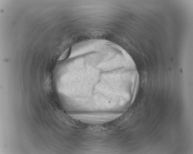 X0000078300866200611251506