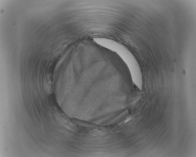 X0000078300868200611251506