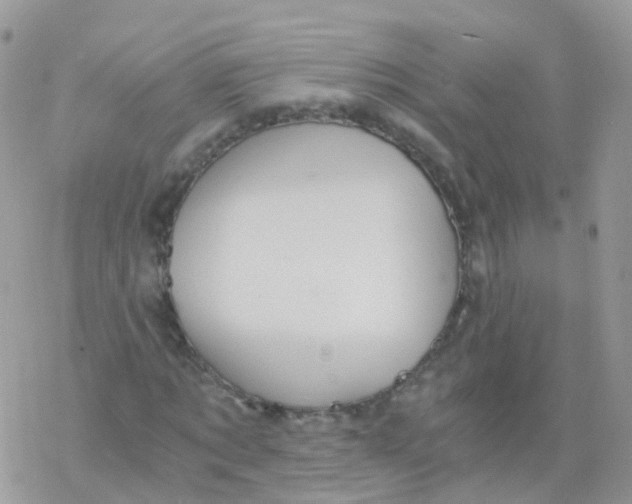 X0000078300869200611251506