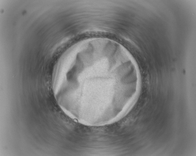 X0000078300870200611251506