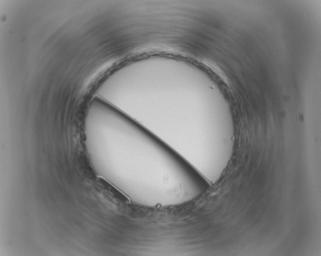 X0000078300872200611251506