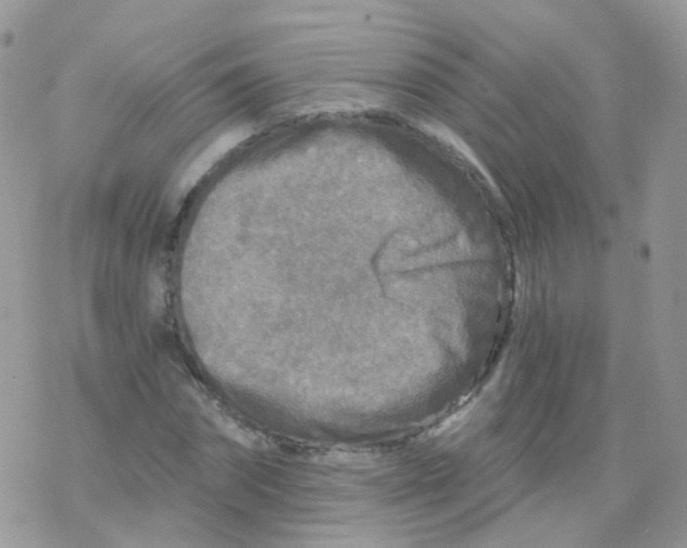 X0000078300874200611251506