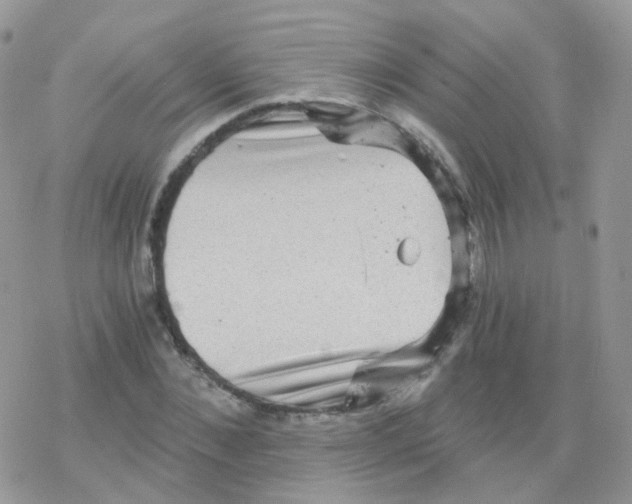 X0000078300876200611251506